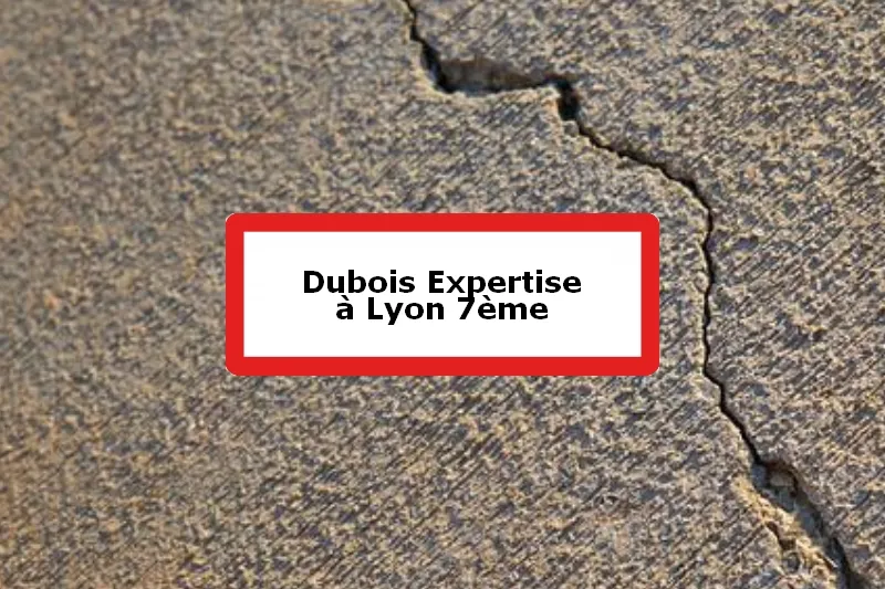 Dubois Expertise - Expert batiment - 7e Arrondissement de Lyon