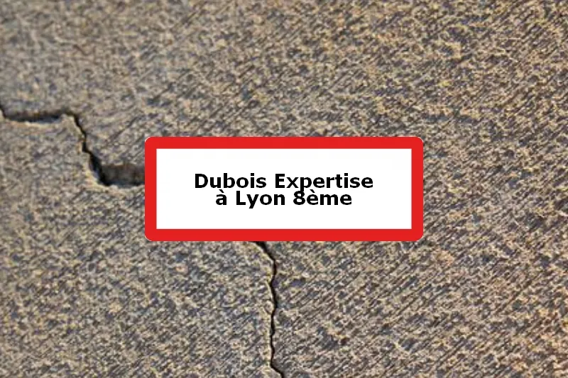 Dubois Expertise - Expert batiment - 8e Arrondissement de Lyon